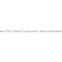 Exosome-depleted FBS Media Supplement Heat Inactivated - USA Certified      